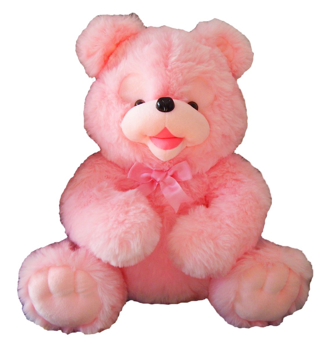 Teddy bear PNG    图片编号:57476