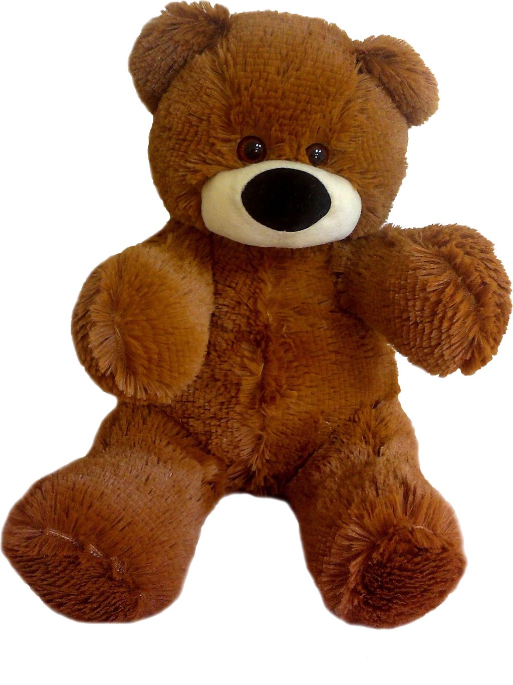 Teddy bear PNG    图片编号:57419
