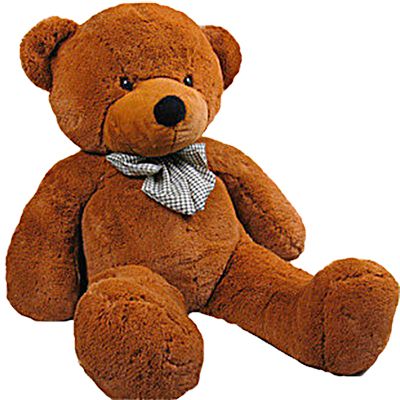 Teddy bear PNG    图片编号:57486