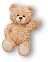 Teddy bear PNG    图片编号:57488