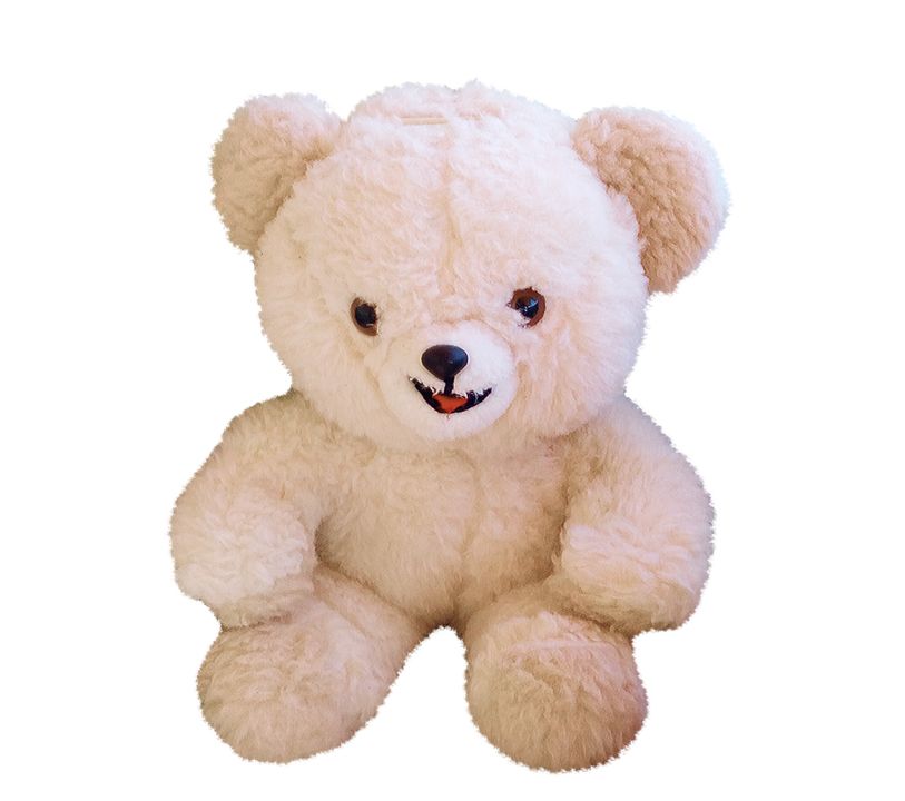 Teddy bear PNG    图片编号:57493