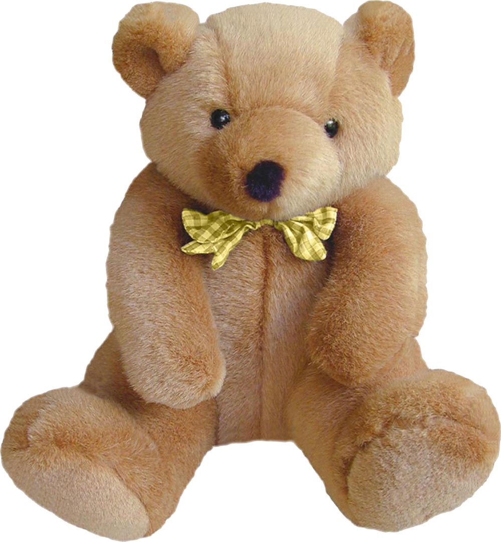 Teddy bear PNG    图片编号:57495