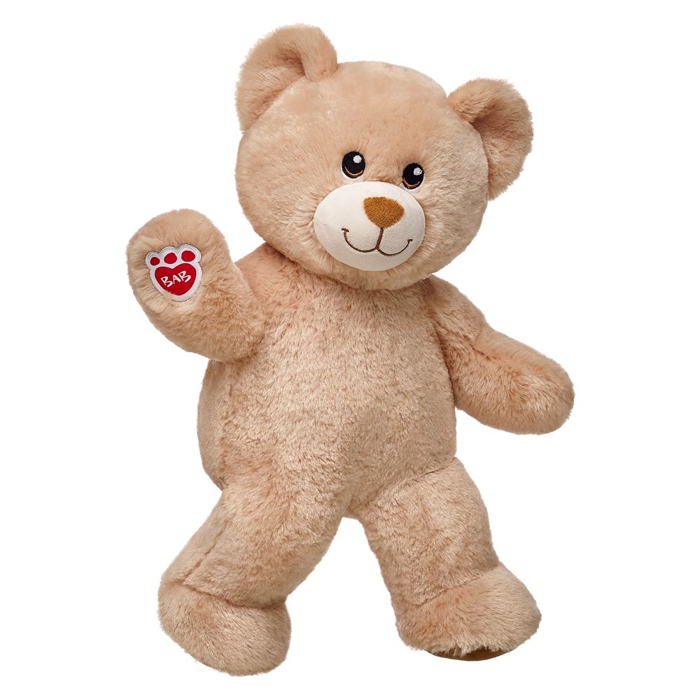 Teddy bear PNG    图片编号:57498