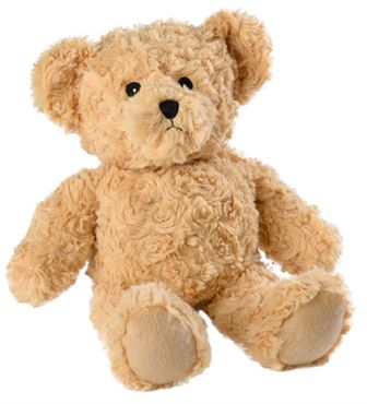 Teddy bear PNG    图片编号:57421