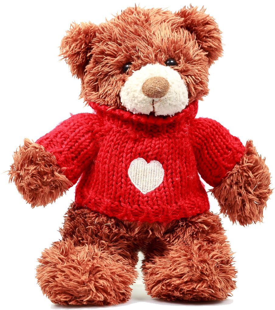 Teddy bear PNG    图片编号:57502