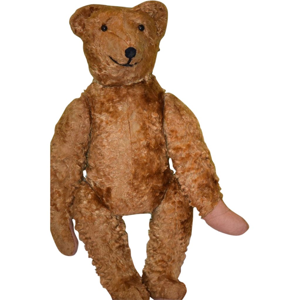 Teddy bear PNG    图片编号:57505
