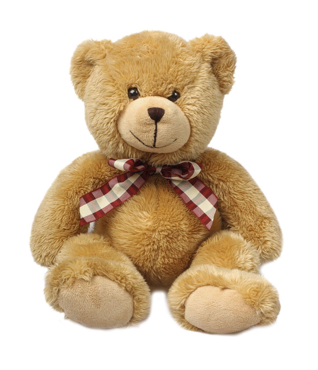 Teddy bear PNG    图片编号:57506