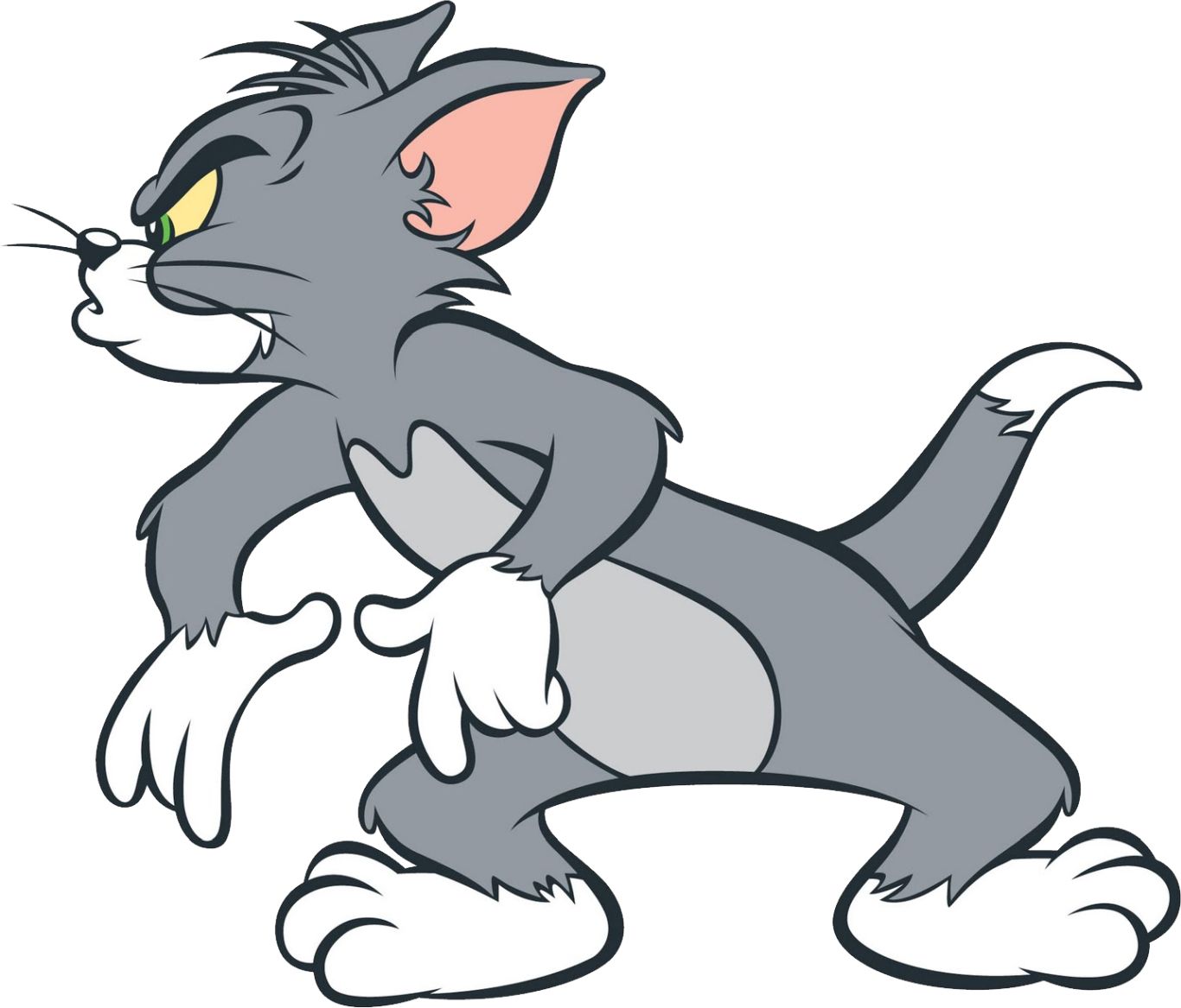 Tom and Jerry PNG    图片编号:30848