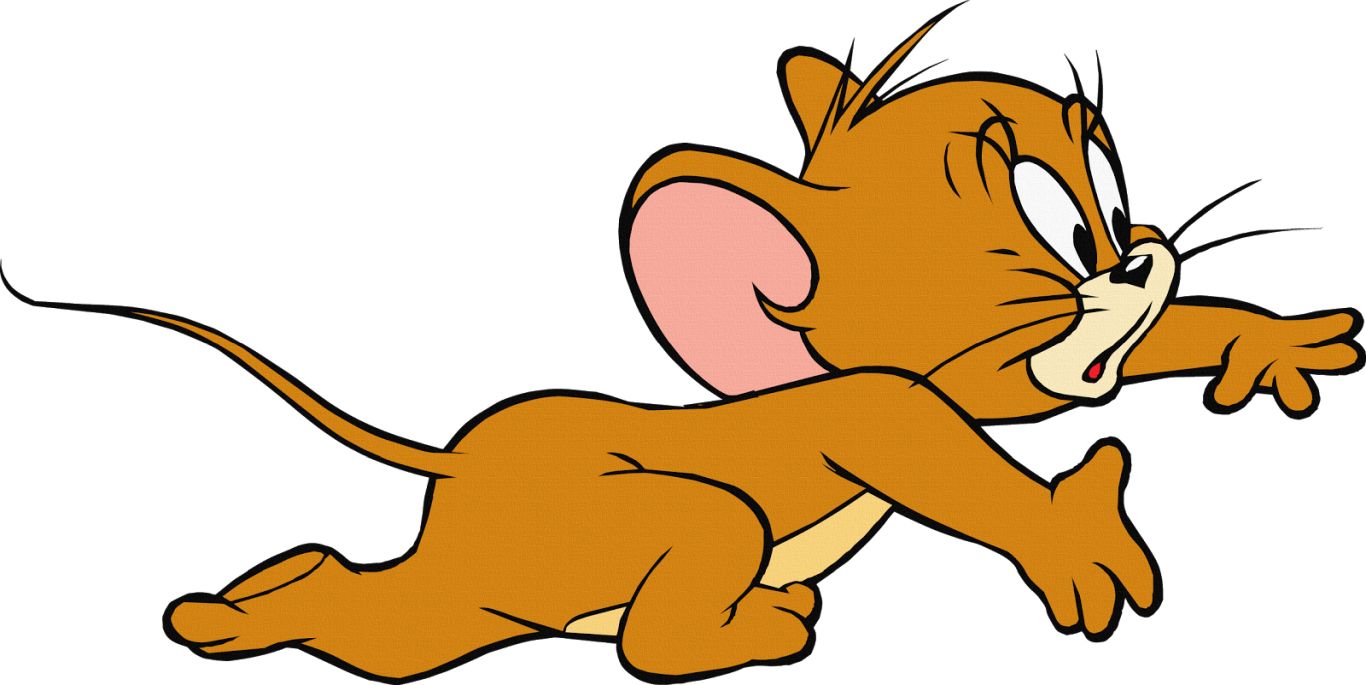 Tom and Jerry PNG    图片编号:30837