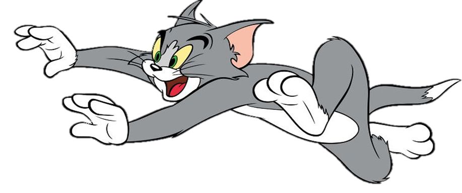 Tom and Jerry PNG    图片编号:30898