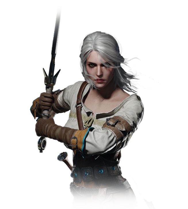 Witcher PNG    图片编号:42329