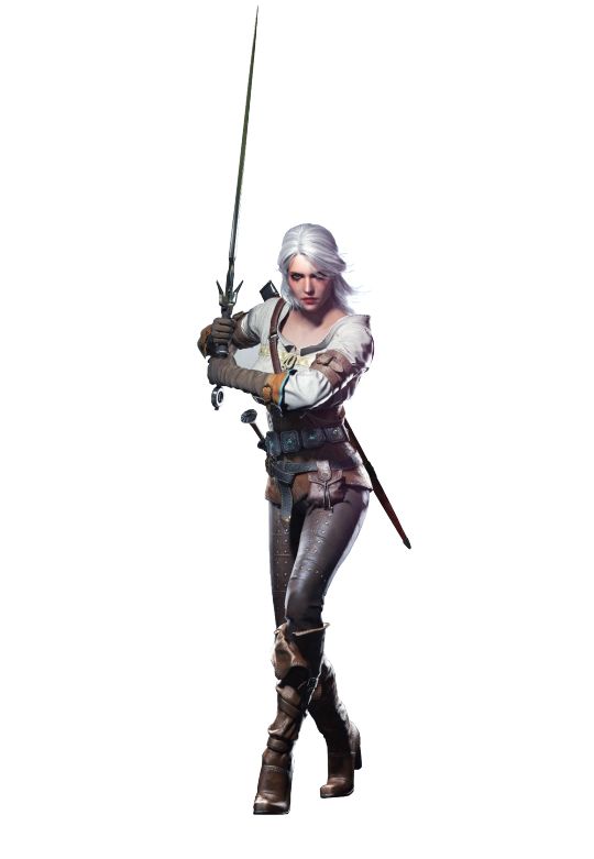 Witcher PNG    图片编号:42285