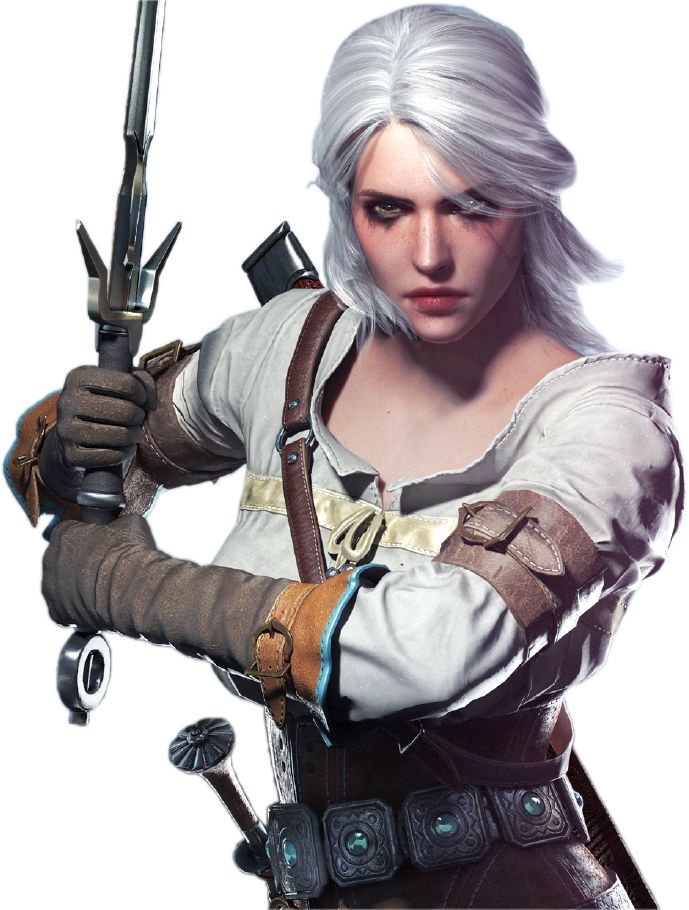 Witcher PNG    图片编号:42341