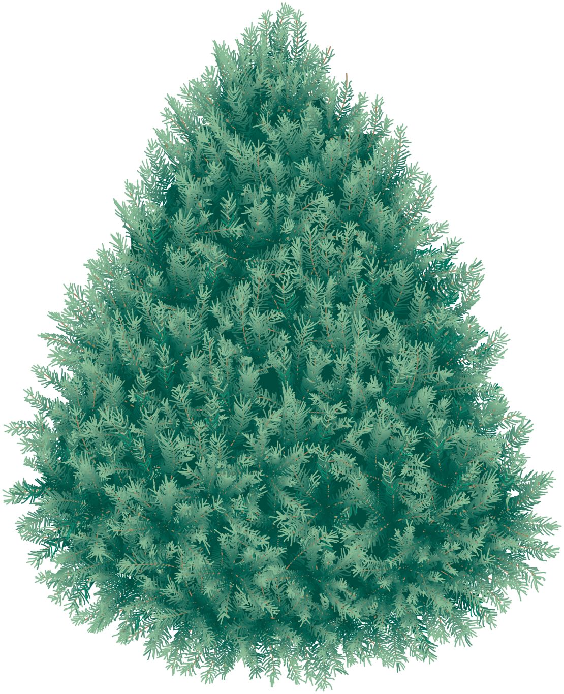 Christmas fir-tree PNG image    图片编号:3728