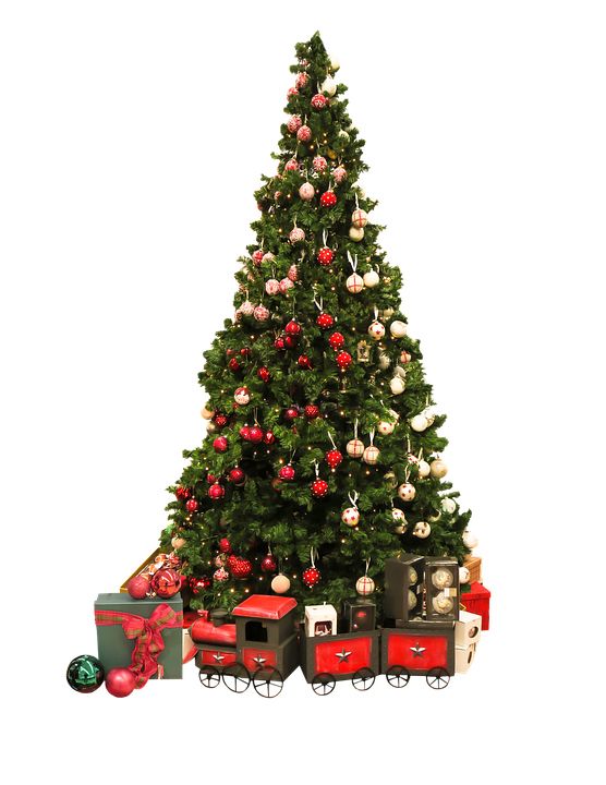 Christmas tree PNG    图片编号:38609