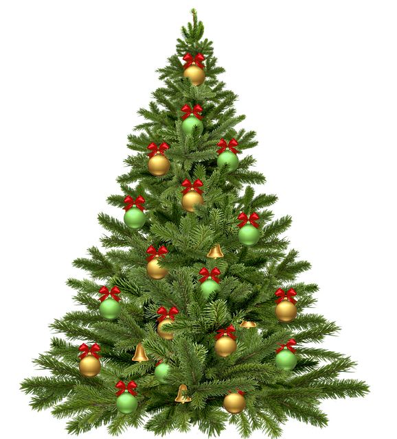 Christmas tree PNG    图片编号:38611