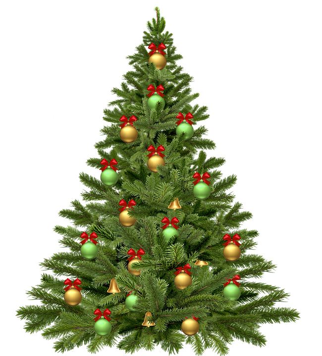 Christmas tree PNG    图片编号:38612