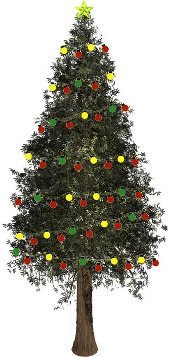 Christmas tree PNG    图片编号:38613