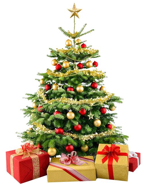 Christmas tree PNG    图片编号:38616