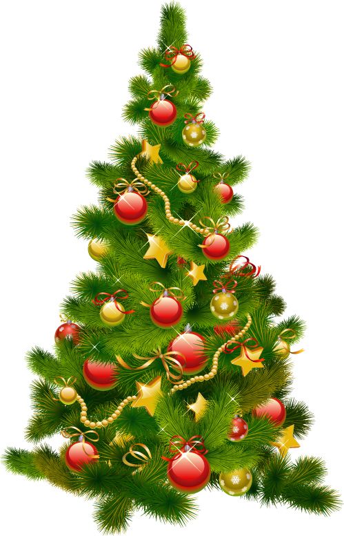 Christmas tree PNG    图片编号:38520