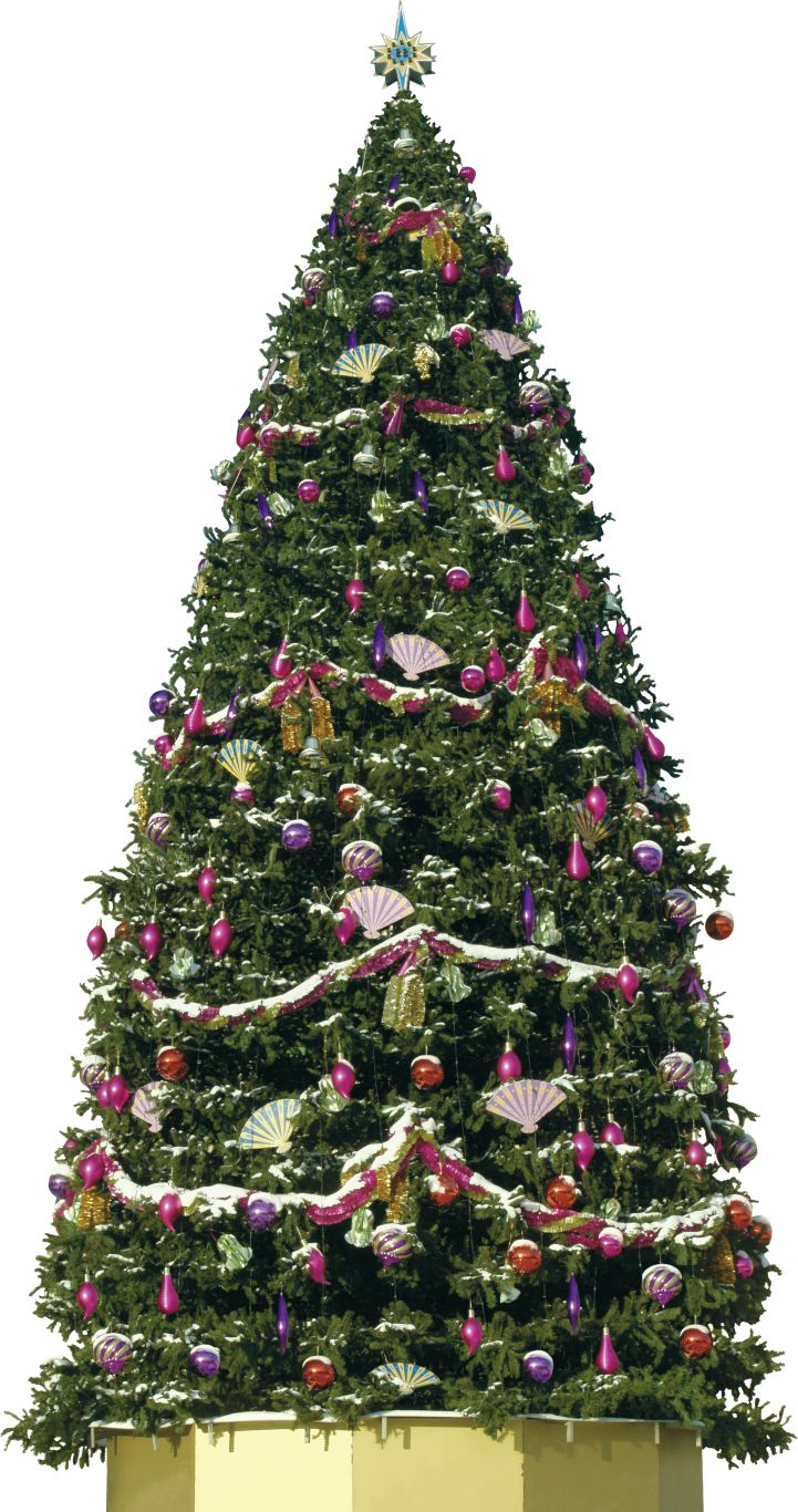 Christmas tree PNG    图片编号:38622