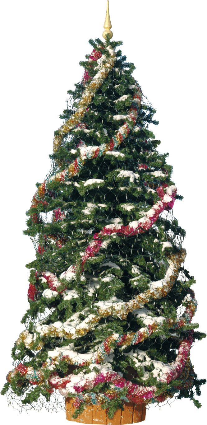Christmas tree PNG    图片编号:38623