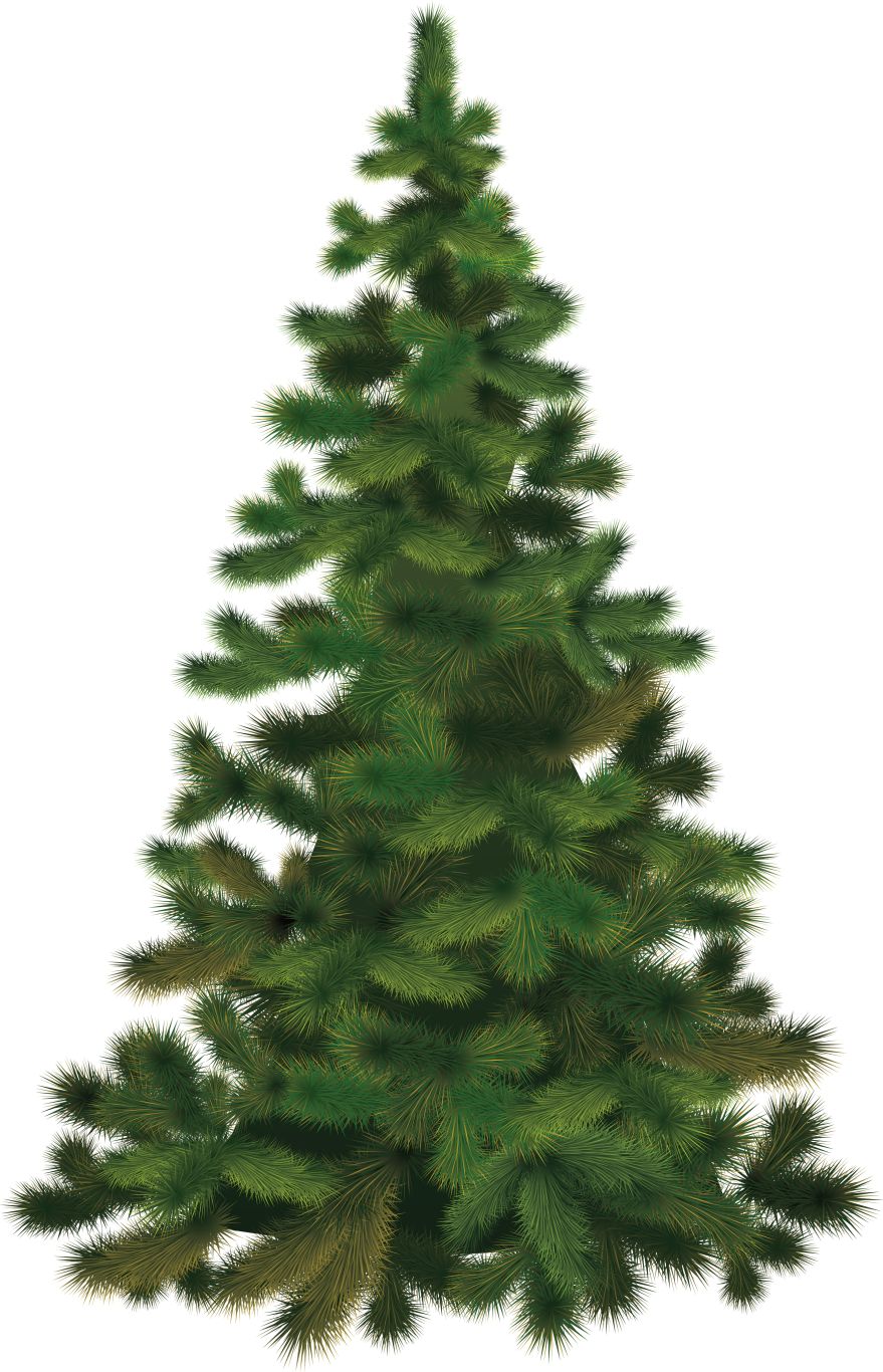 Christmas tree PNG    图片编号:38628