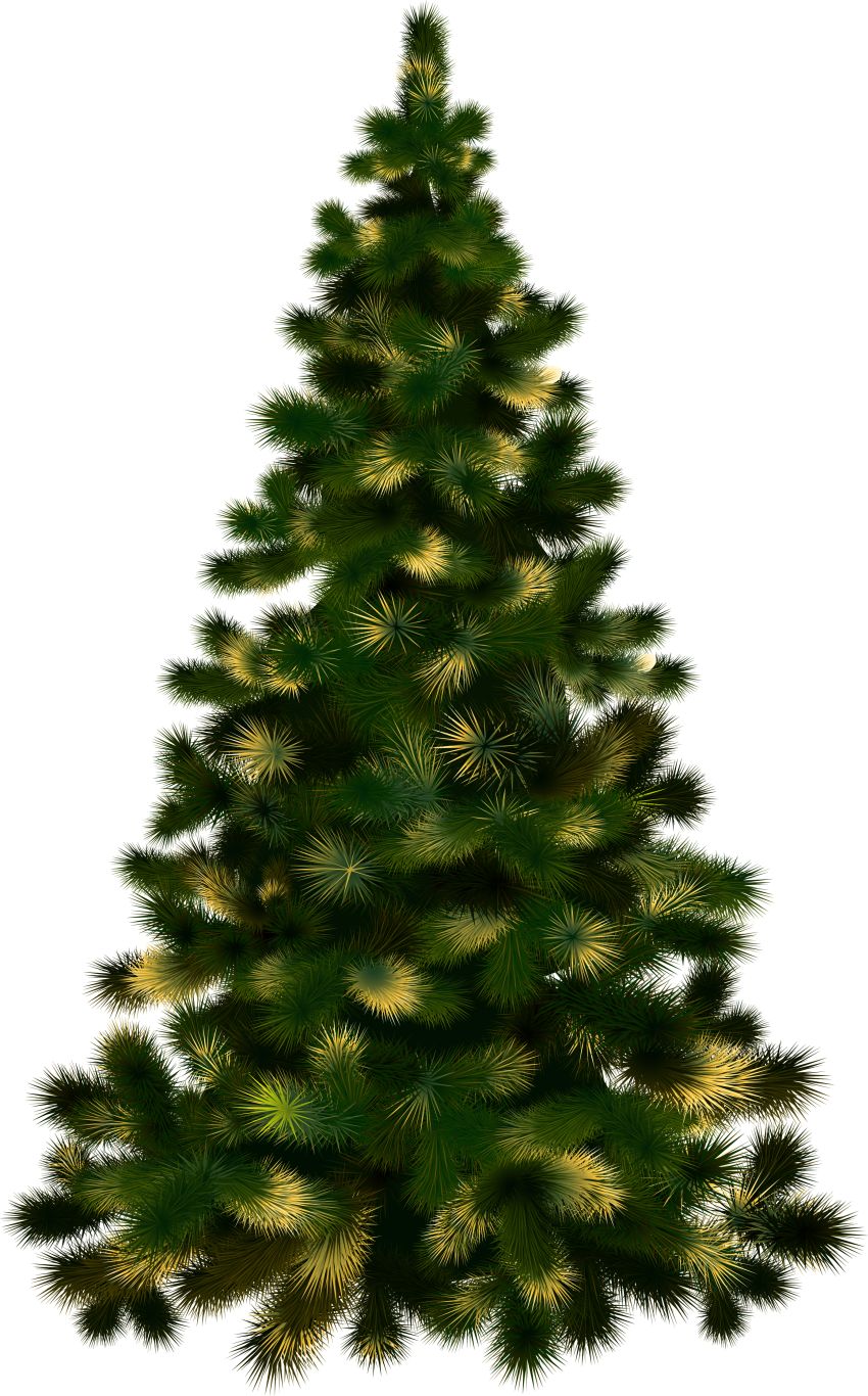 Christmas tree PNG    图片编号:38629