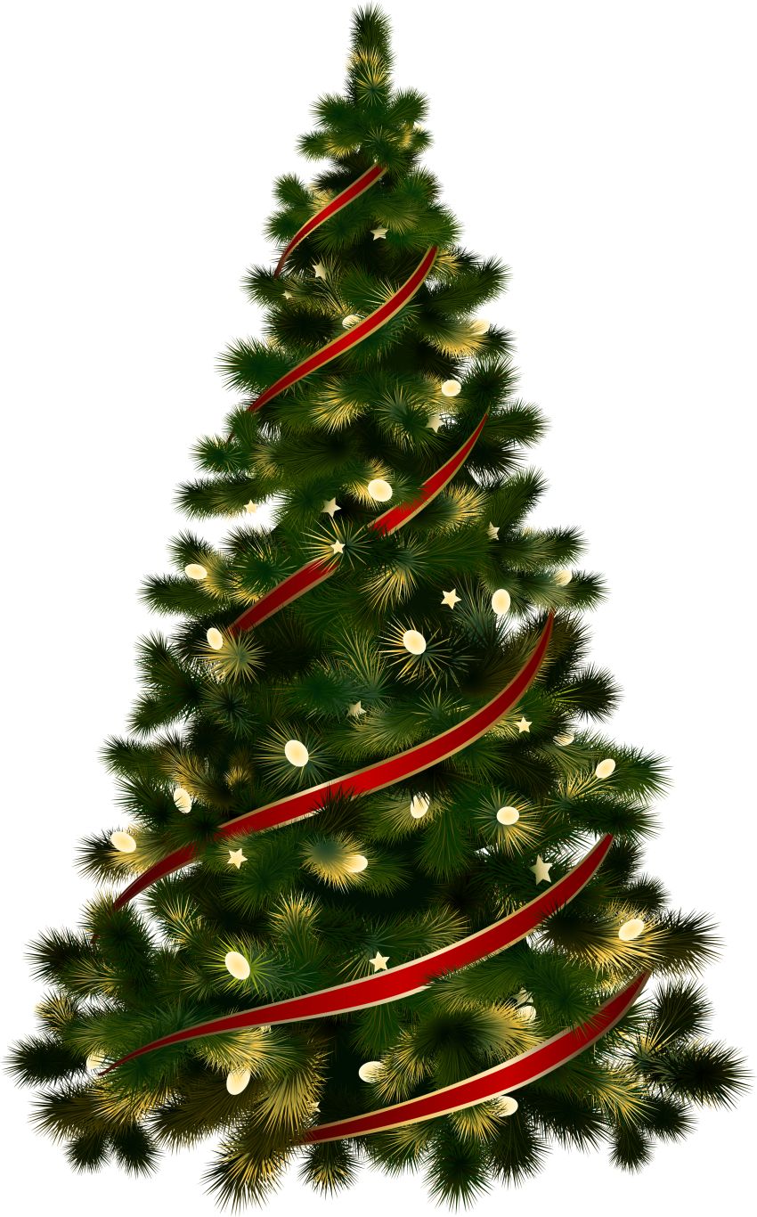 Christmas tree PNG    图片编号:38630