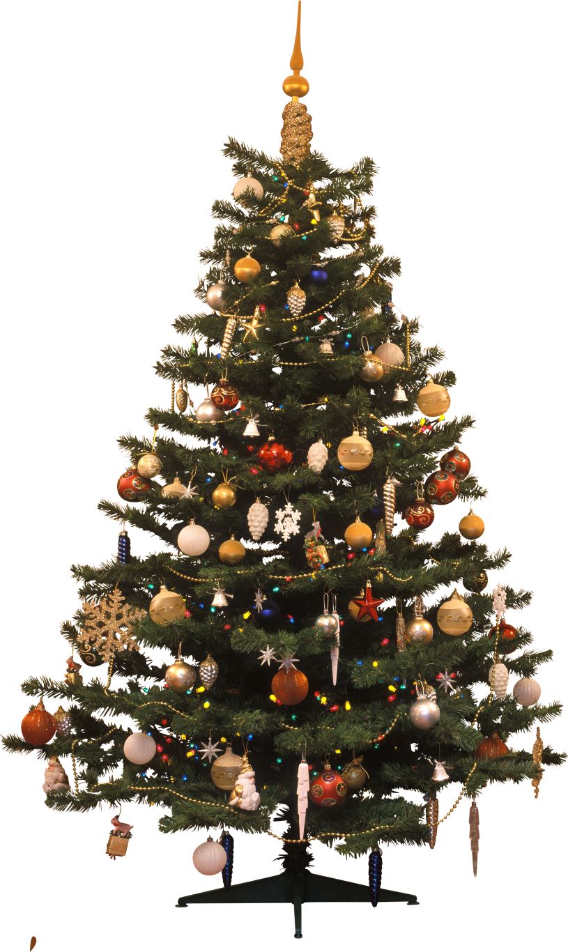 Christmas tree PNG    图片编号:38636