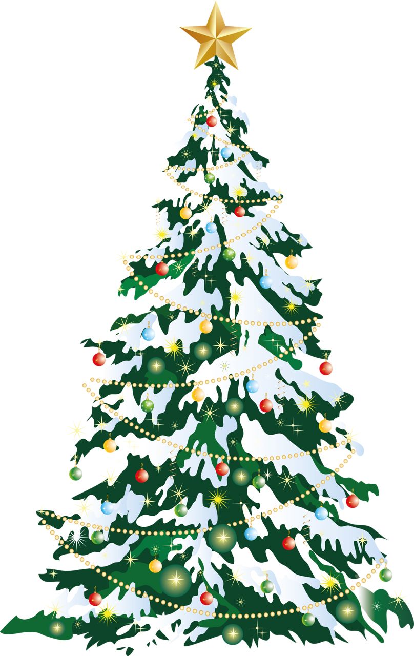 Christmas tree PNG    图片编号:38522