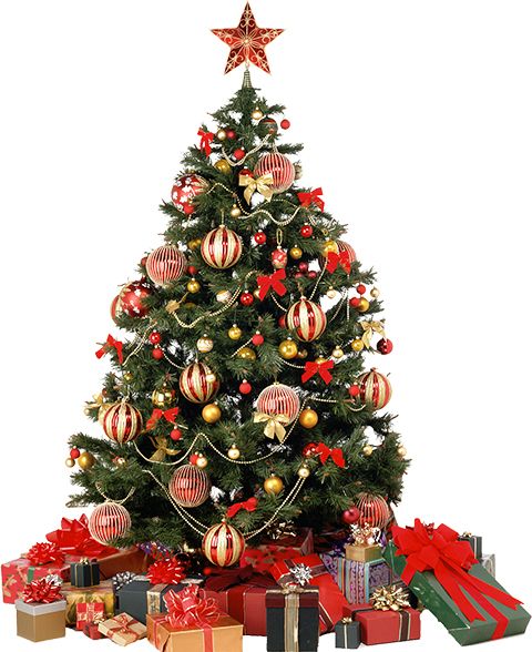 Christmas tree PNG    图片编号:38642