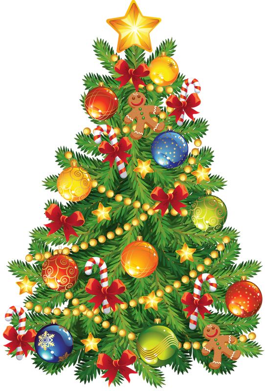 Christmas tree PNG    图片编号:38523