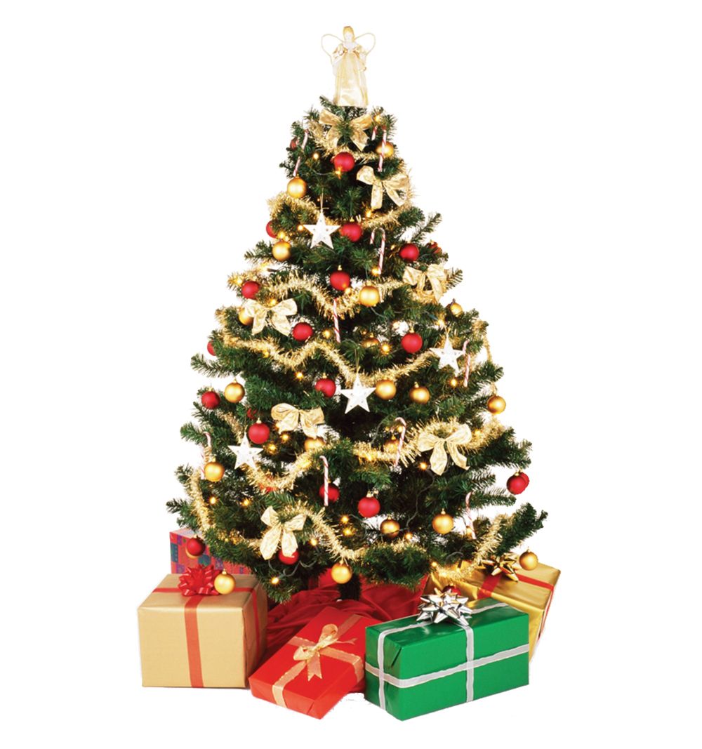 Christmas tree PNG    图片编号:38651