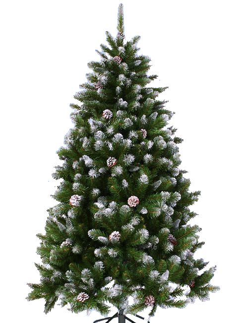Christmas tree PNG    图片编号:38525
