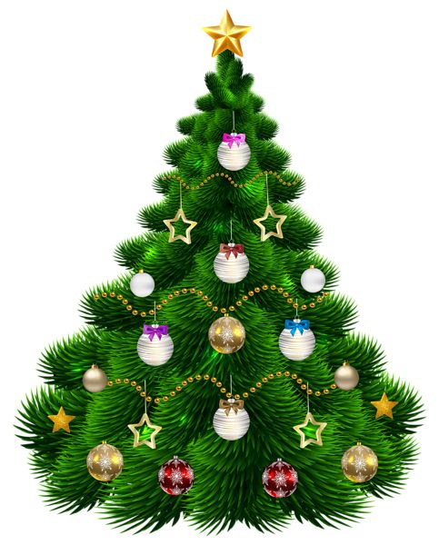 Christmas tree PNG    图片编号:38531