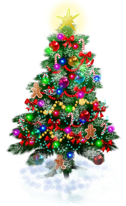 Christmas tree PNG    图片编号:38550