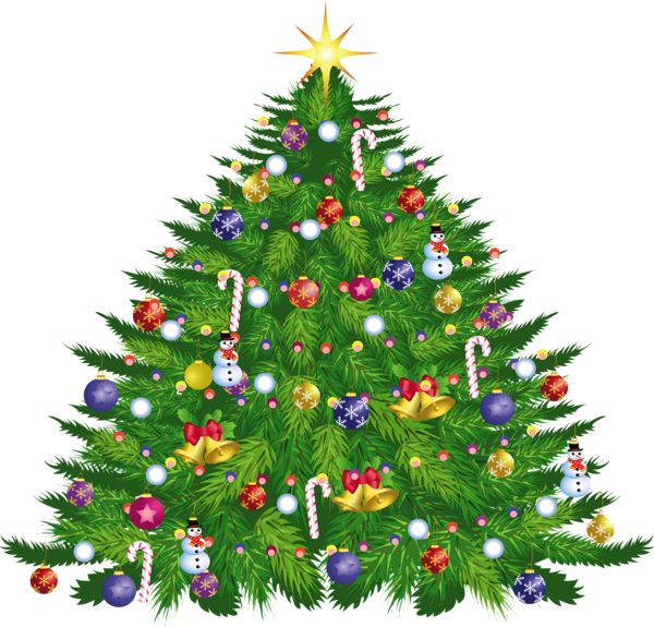Christmas tree PNG    图片编号:38562