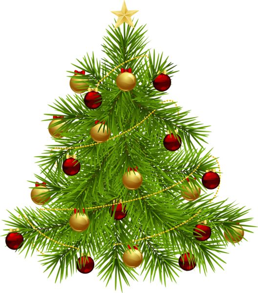 Christmas tree PNG    图片编号:38594