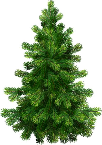 Christmas tree PNG    图片编号:38596