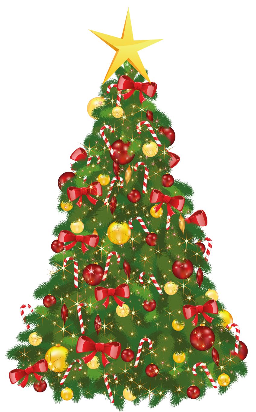 Christmas tree PNG    图片编号:38602