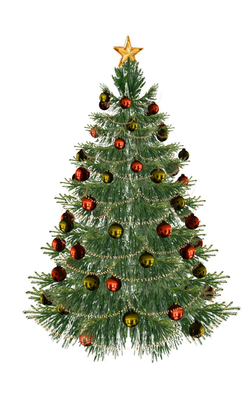 Christmas tree PNG    图片编号:38606