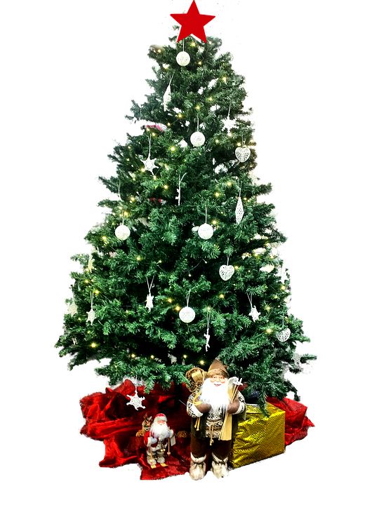Christmas tree PNG    图片编号:38608