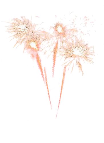 Fireworks PNG    图片编号:15624