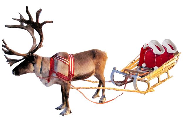 Santa sleigh PNG    图片编号:38723