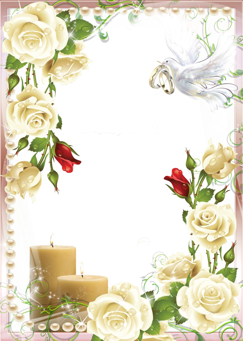 Wedding frame PNG    图片编号:19506