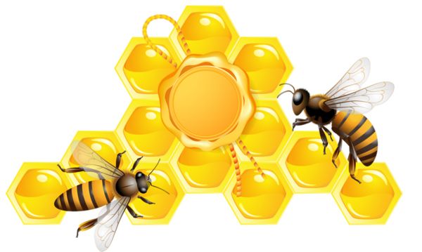 Bee PNG    图片编号:74659