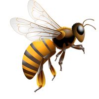 Bee PNG    图片编号:74724
