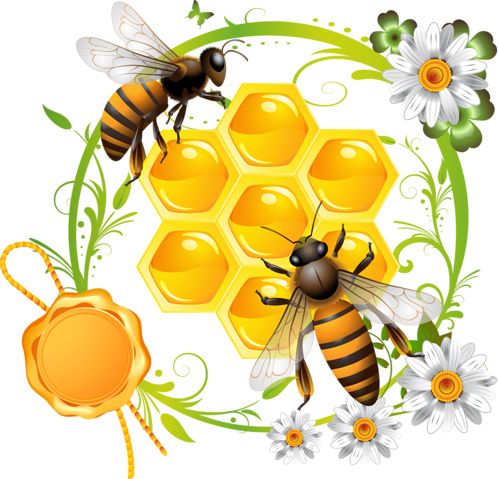 Bee PNG    图片编号:74725