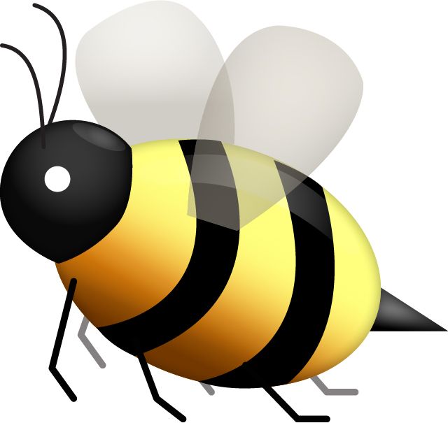 Bee PNG    图片编号:74733